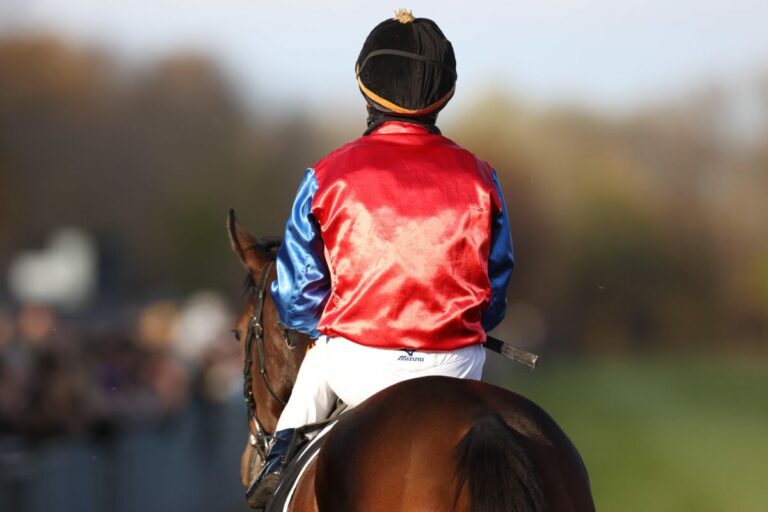 Internationale Diana – Nennungen aus sieben Ländern – 13x Wöhler