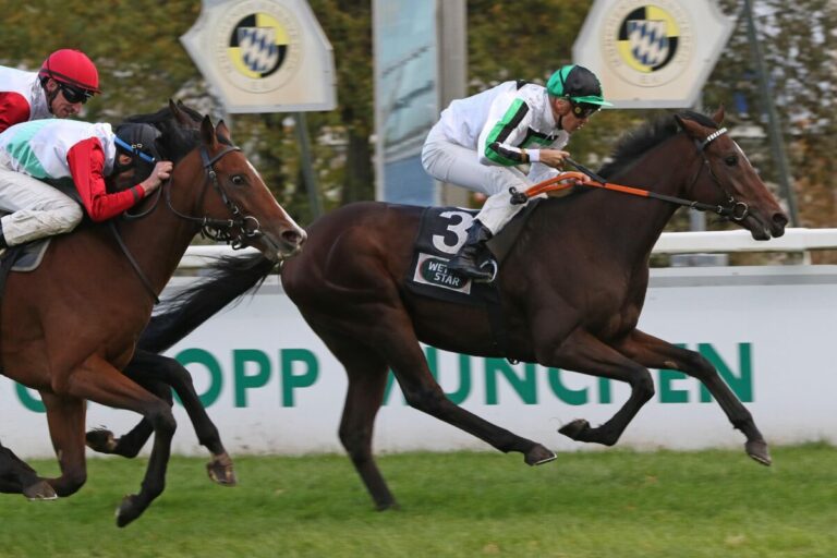 a bene siegt unter Bauyrzhan Murzabayev im Wettstar.de - BBAG Auktionsrennen