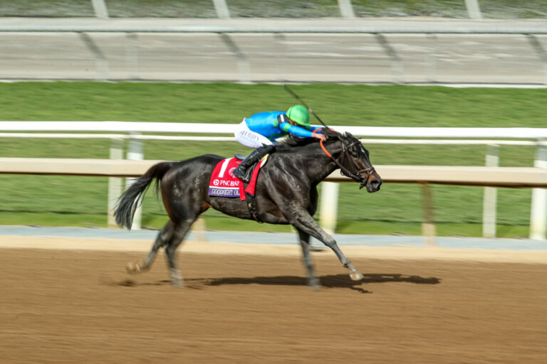 Goodnight Olive Foto: Bailey Ortiz/Eclipse Sportswire