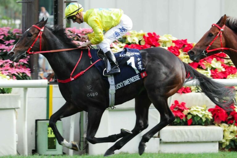 Heißer Favorit Lucky Sweynesse gewinnt trotz Schrecksekunde den Sprint