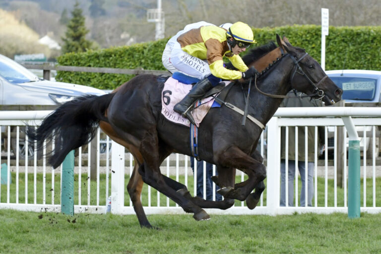 Galopin des Champs (Archiv) Foto: Sorge