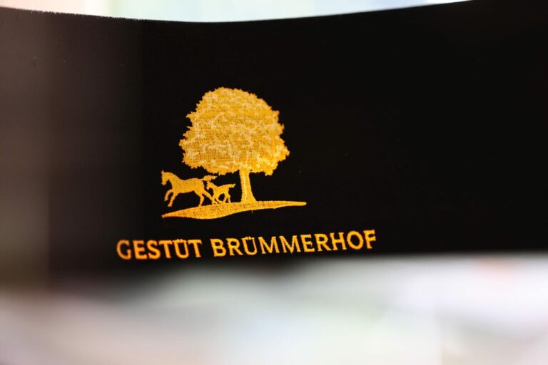Arqana – Brümmerhof verkauft Torquator Tasso-Verwandte
