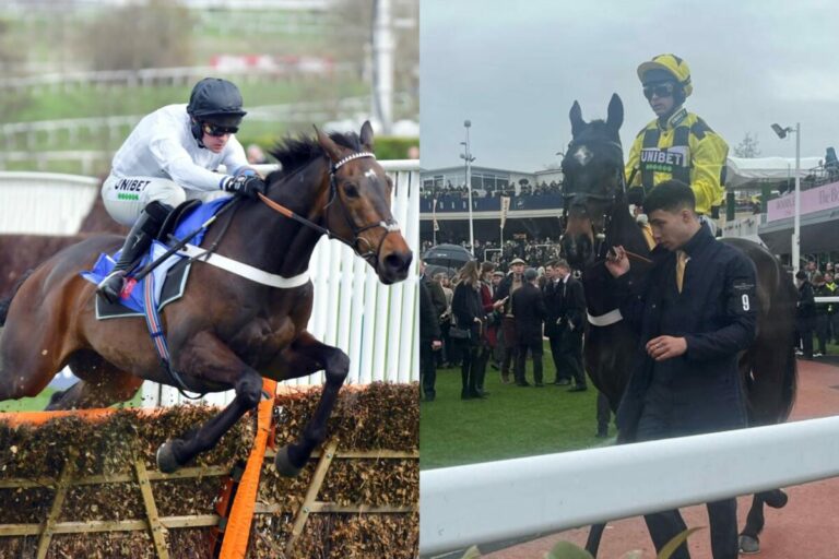 Henderson lässt sie laufen – Constitution Hill tritt gegen Shishkin an