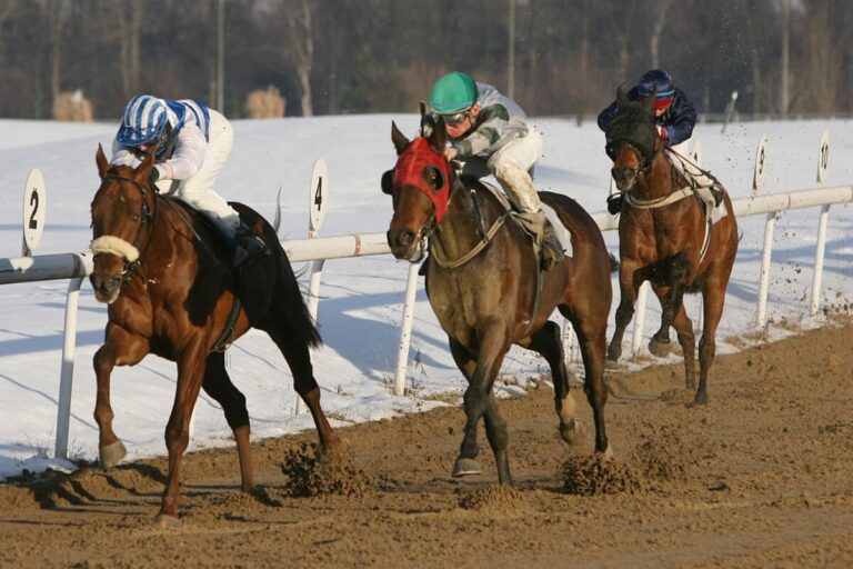 Dortmund am 29.12.:  Neues Rennen ausgeschrieben und eine Skala-Änderung