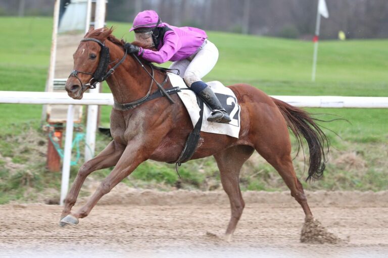 Energy Dragon überlegen – Gamgoom lässt den Vortritt