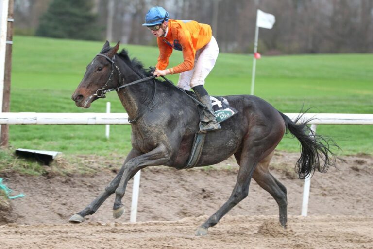 Erneuter Fürstenhof-Erfolg – Merlin locker voraus