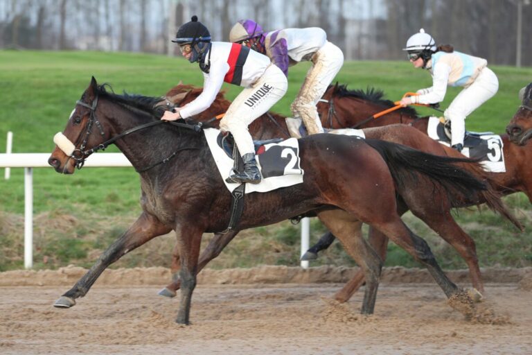 Dortmunder in Dortmund wieder vorne – Hammer-Hansen mit zweitem Doppel