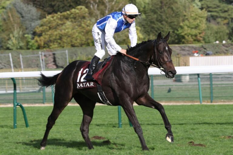 UPDATE: Neun Starter im Grossen Allianz Preis von Bayern