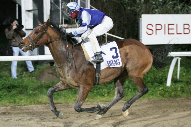 Ein Blick zurück: Die Sieger der Auktionsrennen der Sandbahn