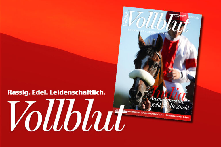 Japans Rennsport on fire: Hintergründe in der VOLLBLUT