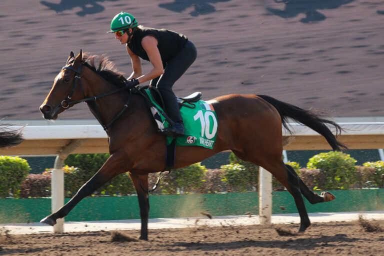 Warm Heart bei der Morgenarbeit in Sha Tin Foto: hkjc.com