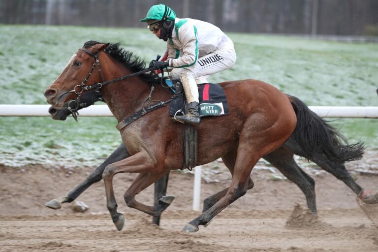 Bavaria siegt unter Thore Hammer-Hansen