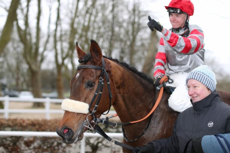 Mister Hollow markiert im drei Pferde-Rennen den ersten Grewe-Sieg