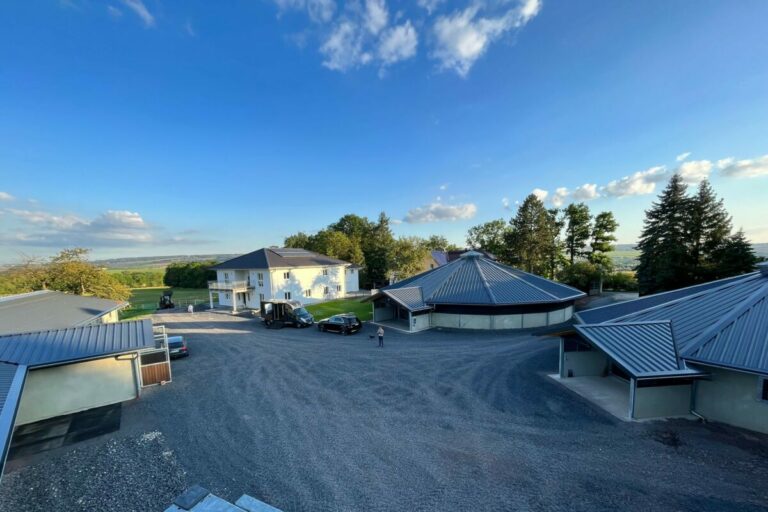 MDR TV-Beitrag über das El Sur Stud