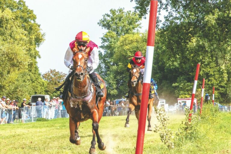 Erster Streicher für Sonntag bekannt – Noch neun in der Viererwette