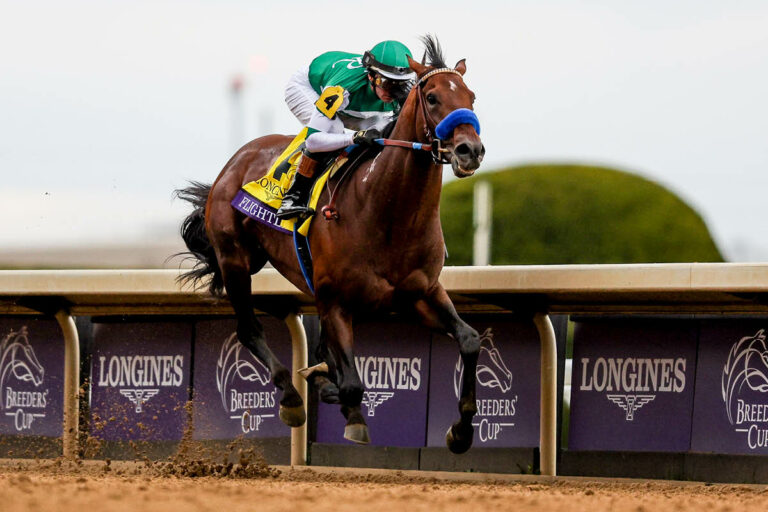 Flightline Foto: Eclipse Sportswire