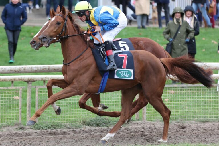 Escalate legt für Recke nach – Deutsche Dreierwette