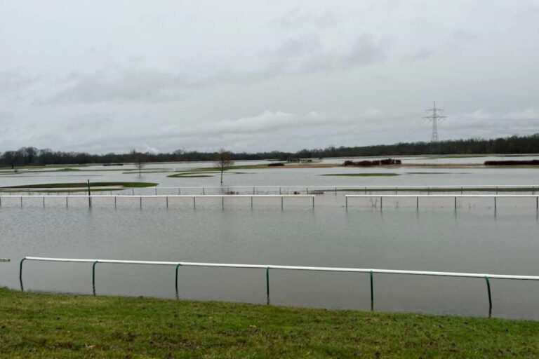 Hochwasser in Magdeburg: „Langsam wird es katastrophal“