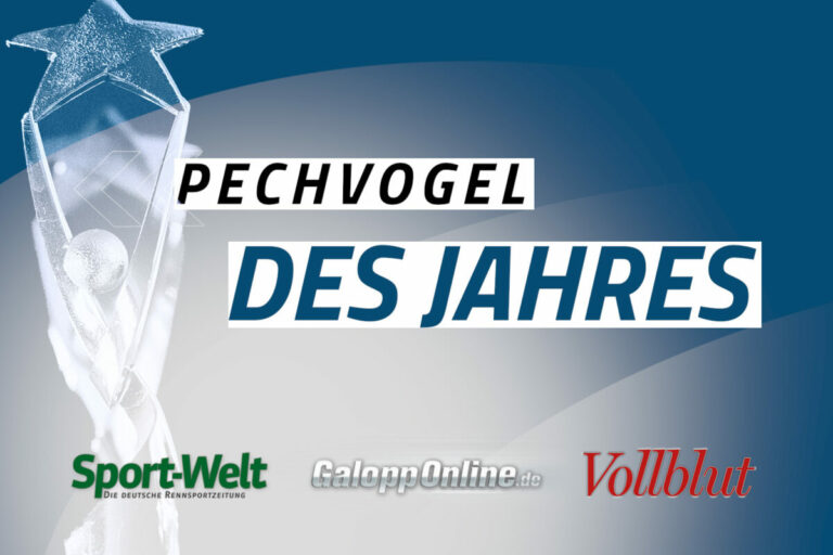 Jetzt abstimmen – Vom „Pechvogel“ zum Online Award-Gewinner