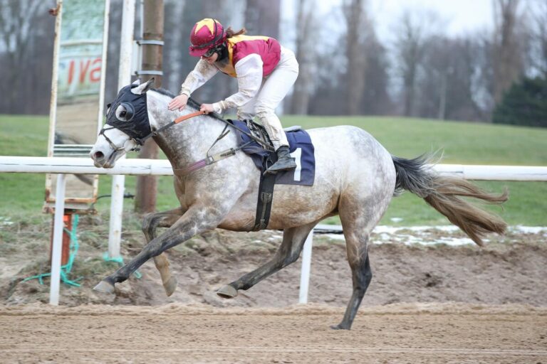 Rely On Old Sport siegt unter Anna van den Troost