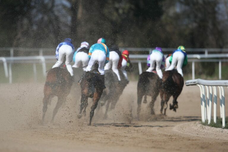 Sandbahnrennen in Dortmund