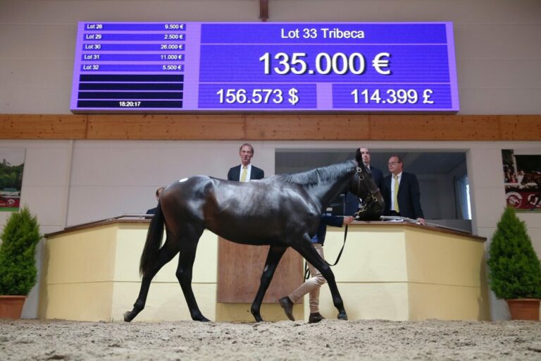 Deauville: Torquator Tassos „Tante“ gewinnt überlegen beim Einstand