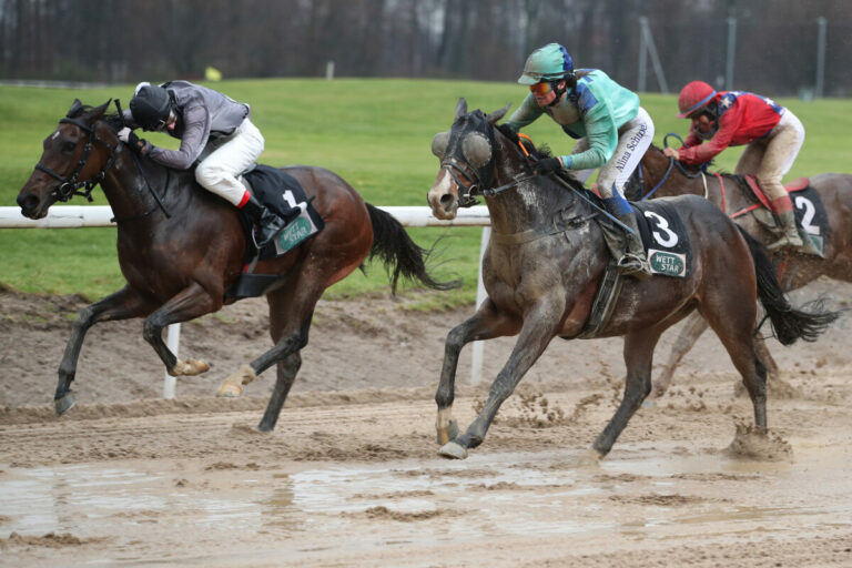 Amoudara erster Championatspunkt für den Champion