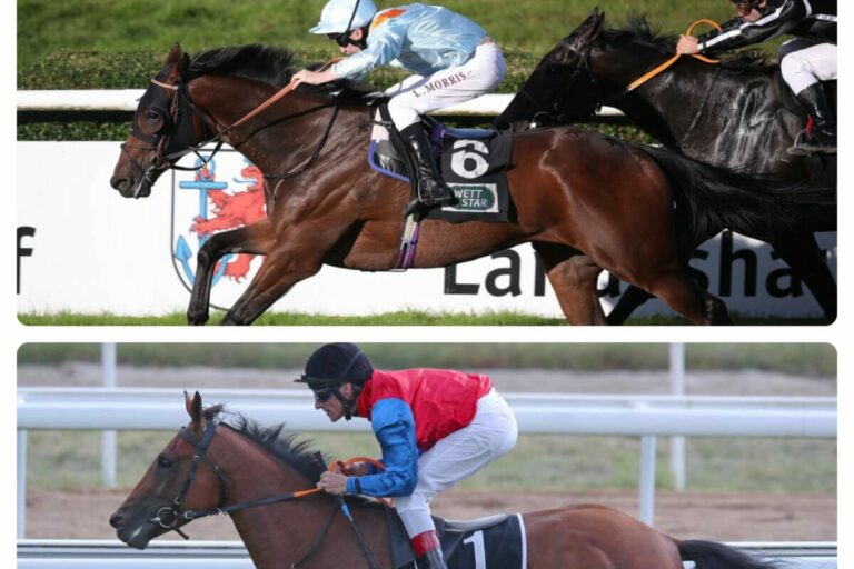 Brave Emperor auf dem Weg zu neuen Ufern – Duell mit Aemilianus in Katar