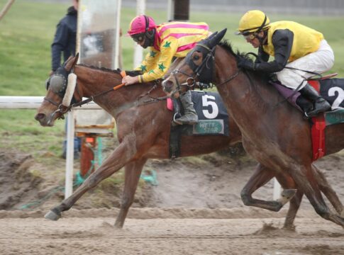 Ciyounesse siegt unter Thore Hammer-Hansen