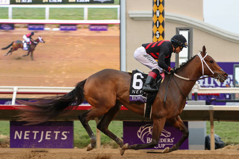 Echo Zulu Foto: Eclipse Sportswire