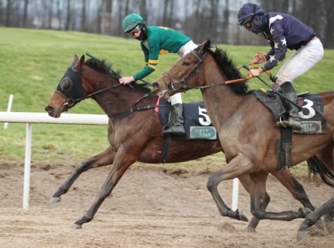 Ireland Alexander siegt unter Senan Macredmond