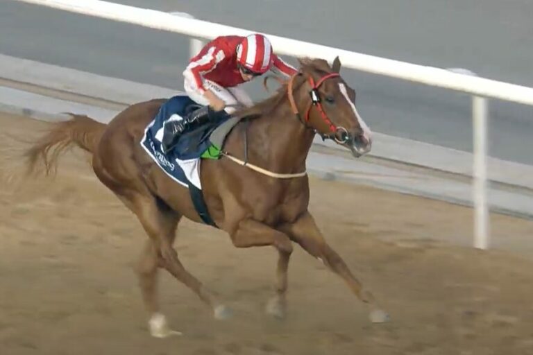 3 aus 3! Manama Gold und de Vries sind auch in den Oaks nicht zu schlagen