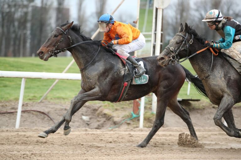 Favorit Merlin gewinnt Ausgleich III