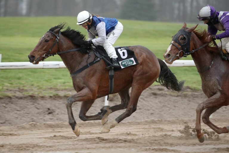 Überraschung zum Auftakt: Slay The Dragon gewinnt