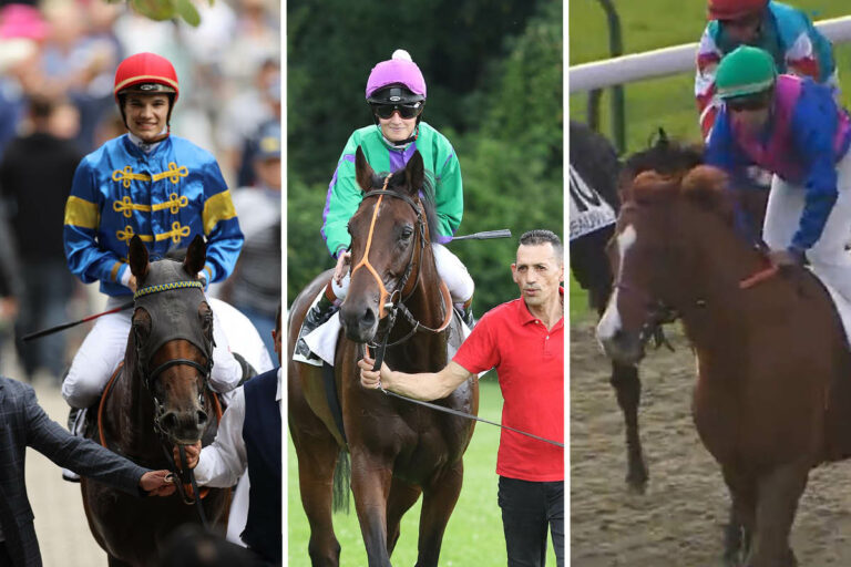 Zerostress, Aggenstein und Toijk