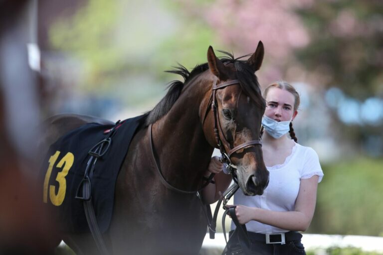 Recke-Form: Glänzt Blattgold oder tanzt er aus der Reihe?