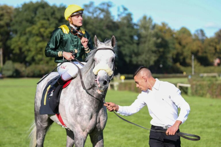 Stall El Questros Fort Good Hope für den Trakehner-Verband gekört