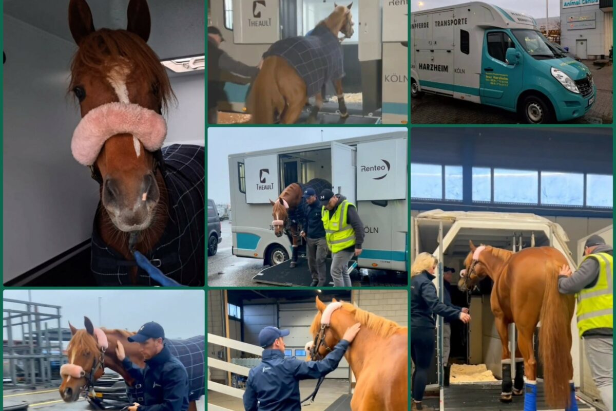 Sisfahan auf dem Weg nach Dubai Sheema Classic am World CupTag das