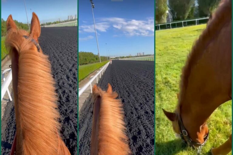 Sisfahans Quarantäne beendet – Samstag wartet englischer Trainingspartner