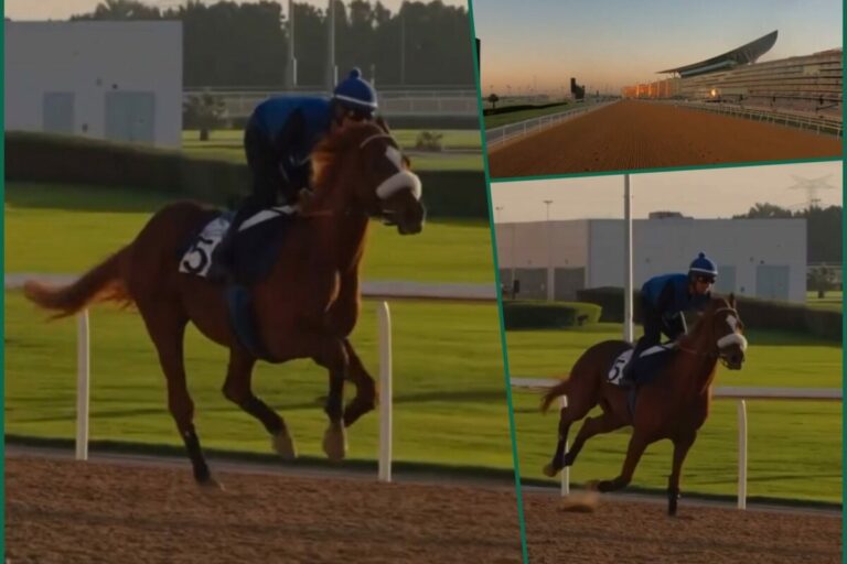 Sisfahan bei der Morgenarbeit (Foto: Privat)