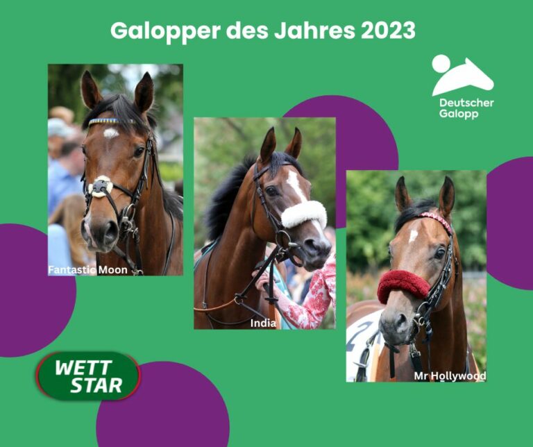 Galopper des Jahres 2023: Alles zur Wahl