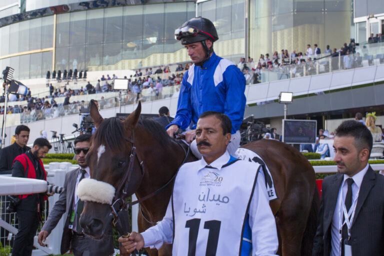 Dane O'Neill auf Haatheq im Jahr 2015 Foto: turfstock.com