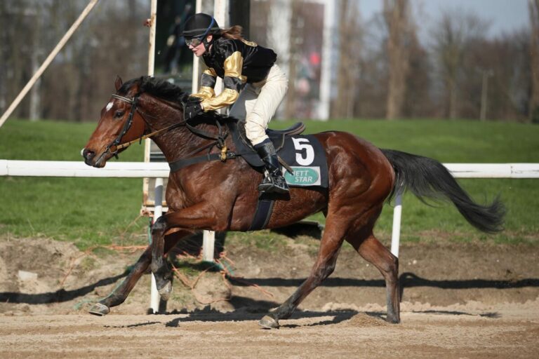 Galileo-Sohn Aurum Sky ist vollkommen überlegen – Zweiter Tepper-Bradik-Erfolg