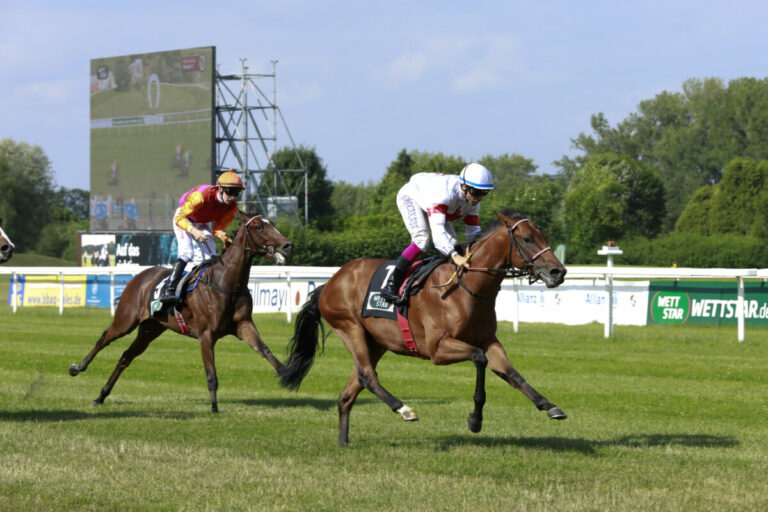Faster Than Life Foto: turfstock.com