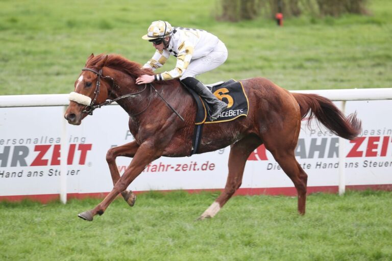Frankie’s Boy kann es auch auf Gras