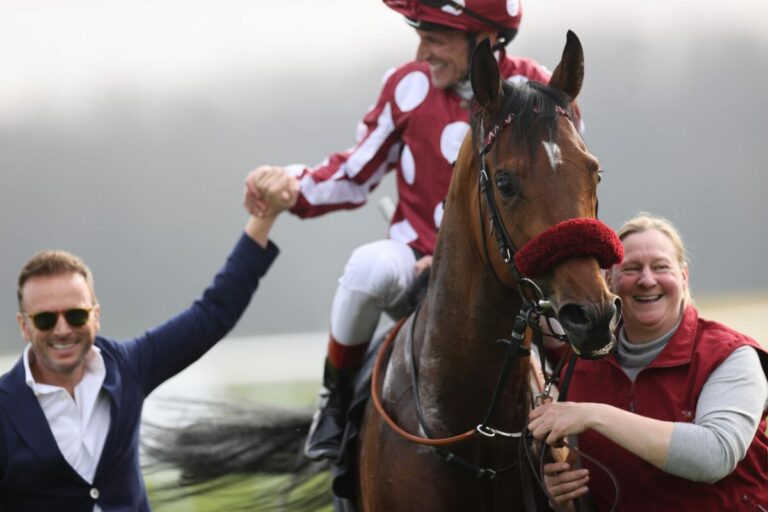 Mr Hollywood nach dem Sieg im Preis von Dahlwitz