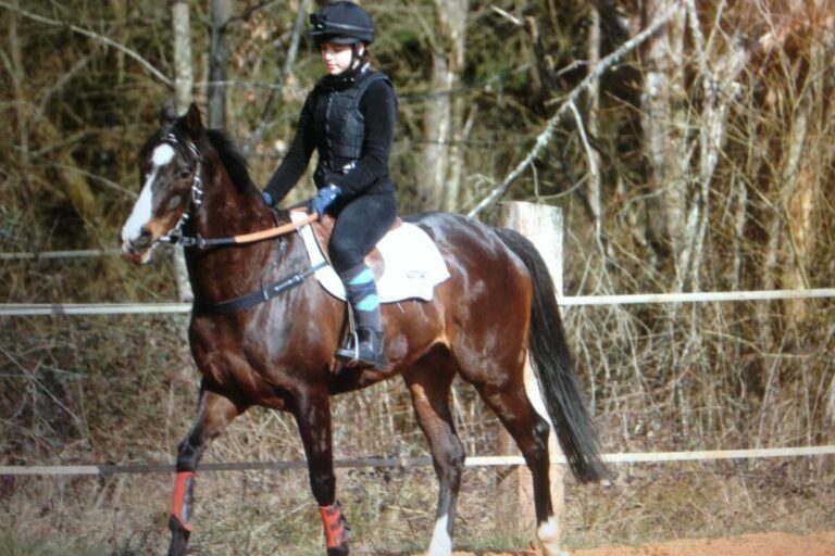 Erster Rennreiterlehrgang seit Corona: 10 Teilnehmer in Honzrath