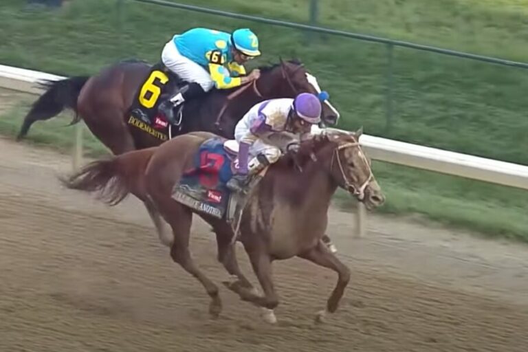 Klassischer Sieger I’ll Have Another neu auf der Old Friends Farm