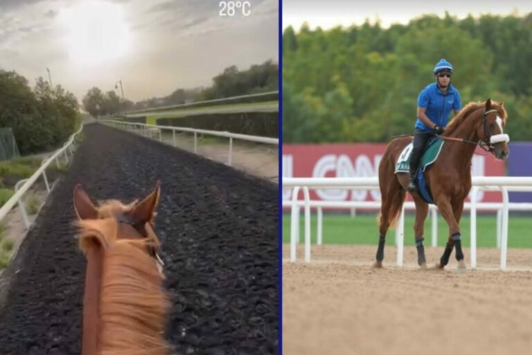 Sisfahan bereit – Dubai nicht nur für ihn eine Mammutaufgabe