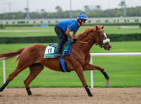 Sisfahan bei der Morgenarbeit in Meydan Foto: Dubai Racing Club